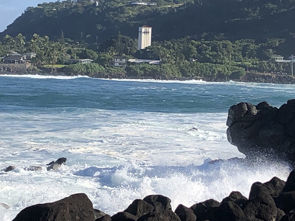 Big waves at Waimea Bay attract surfers and onlookers