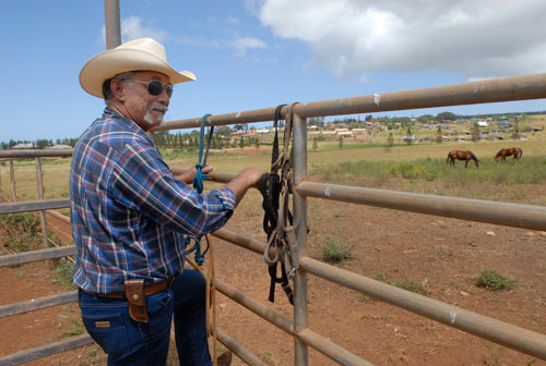 Molokai Ranch owners seek ruling on land use | Honolulu Star-Advertiser