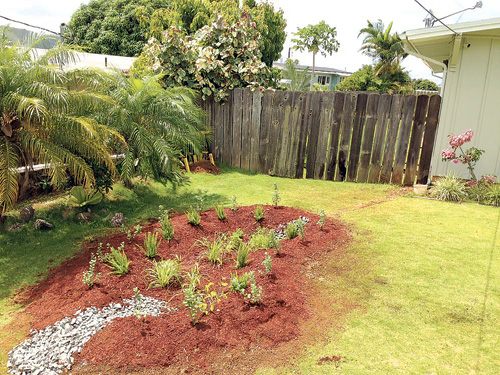 Rain Gardens Can Reduce Polluting Water Runoff 