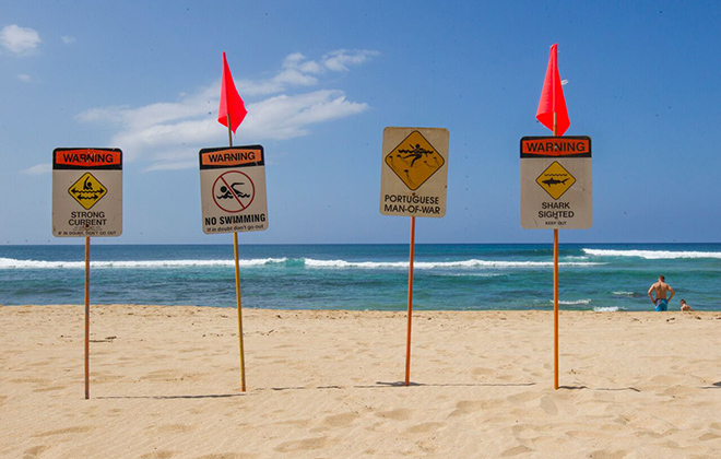 City posts warning signs at North Shore beaches after shark scare ...