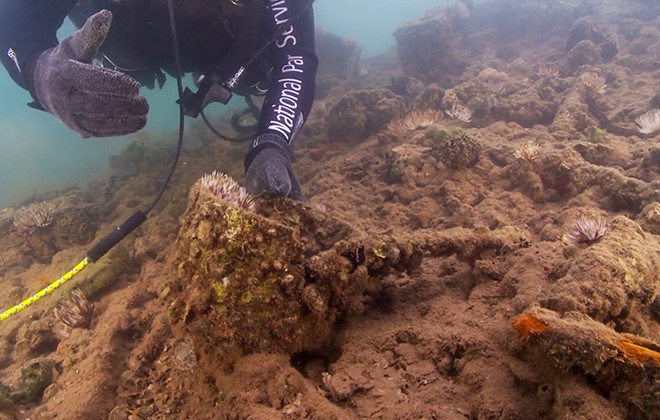 NPS plans live dive of USS Arizona | Honolulu Star-Advertiser