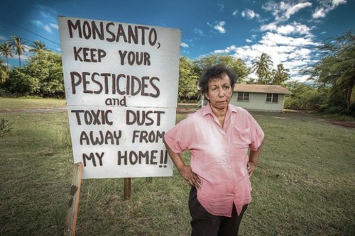 monsanto-takes-root-honolulu-star-advertiser