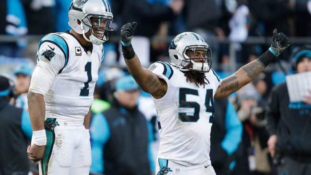 NFL: Carolina Panthers defeat Arizona Cardinals 27-16 in NFC wildcard  playoff game, NFL News