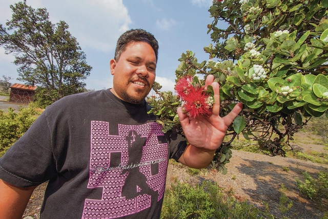 Ohia lehua blight takes toll on hula competition ...