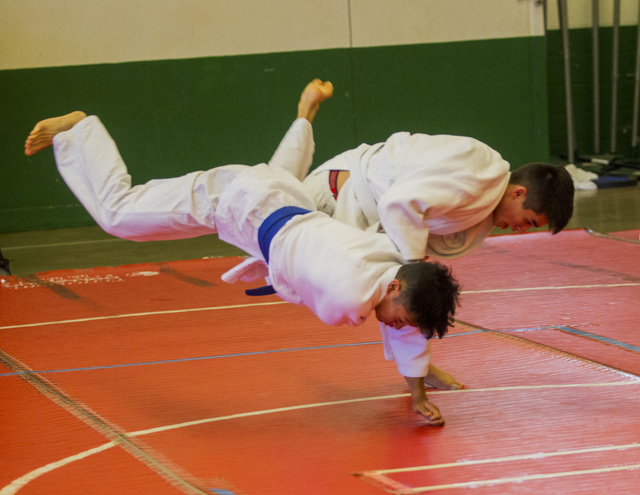 OIA judo championship, April 30 | Honolulu Star-Advertiser