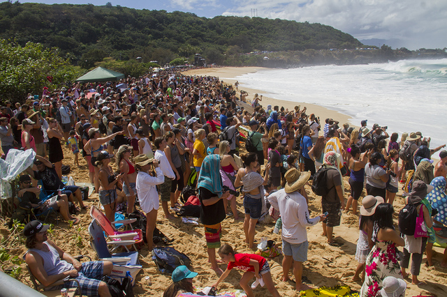 2016 eddie aikau