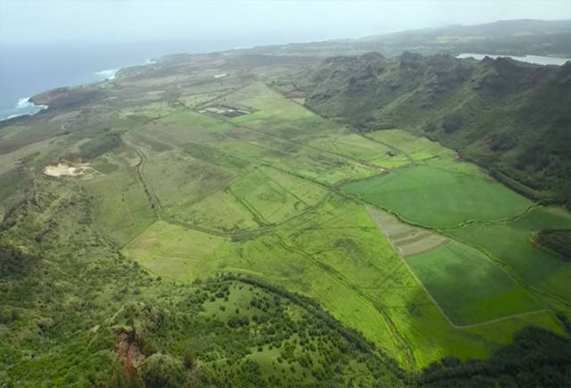 Hawaii Dairy unable to build without a more detailed study | Honolulu ...