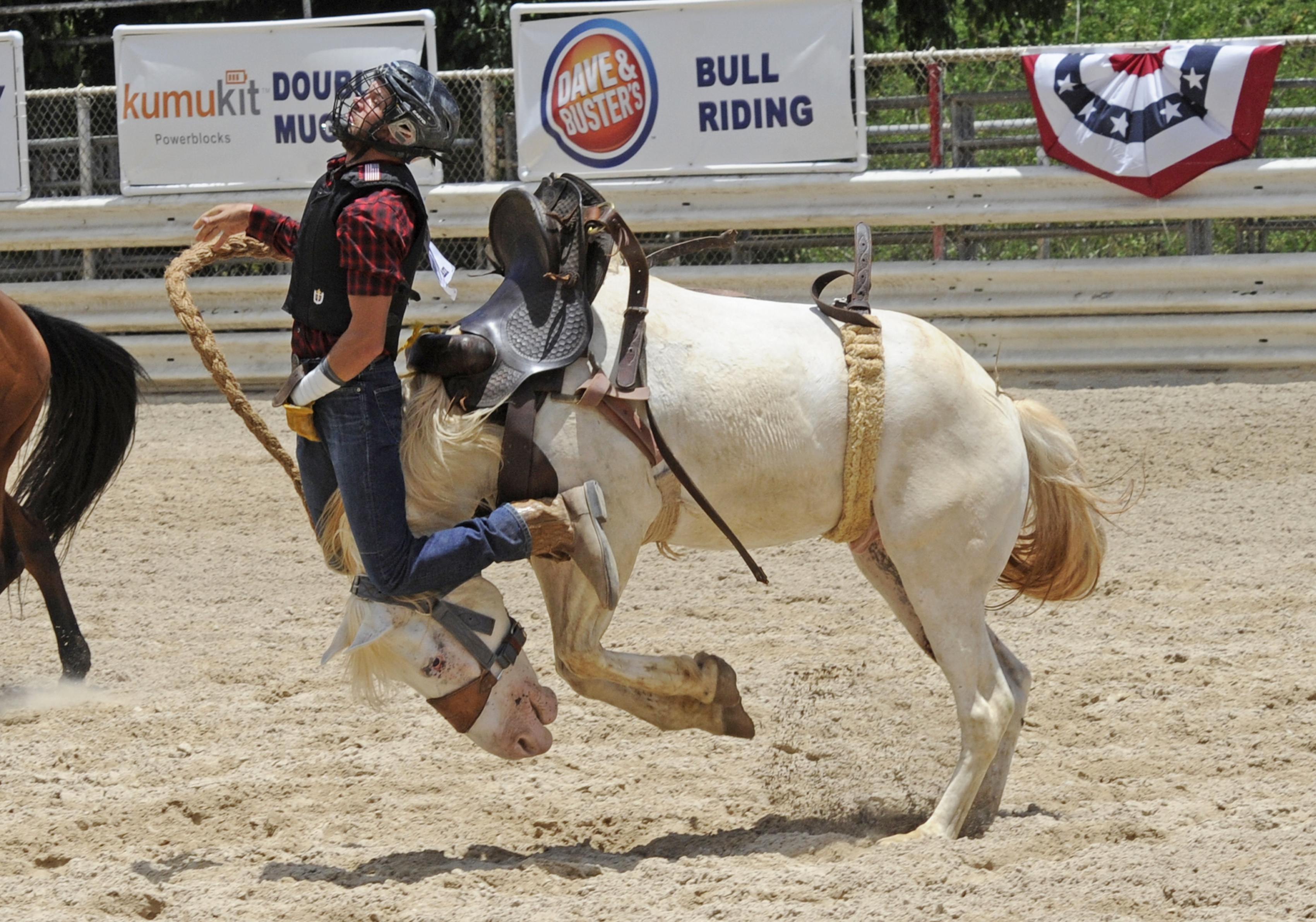 Easy rider rodeo ohio