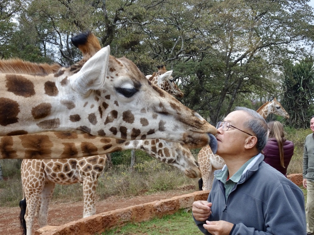 Kiss My Giraffe by Erin Nicholas