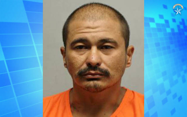 Honokaa man charged with assaulting woman, killing dog | Honolulu Star ...