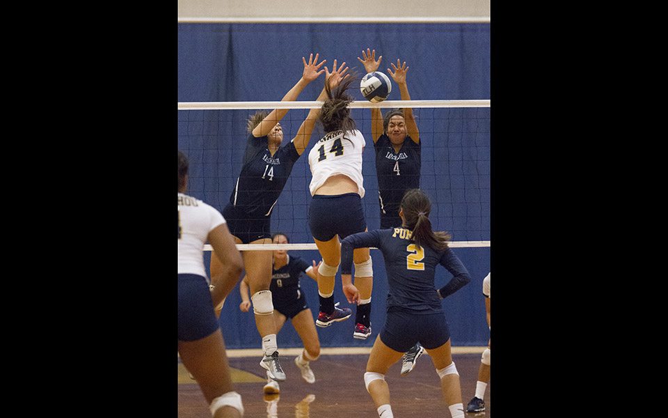 Volleyball Kamehameha vs. Punahou Honolulu StarAdvertiser