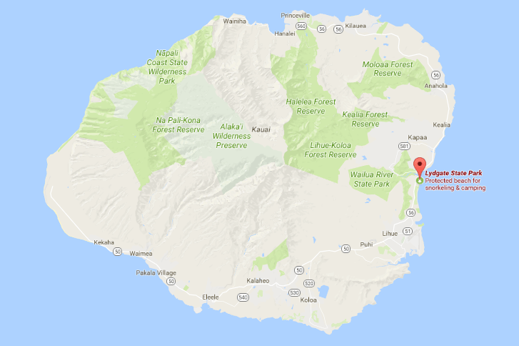 4-year-old boy dies after being struck by pickup on Kauai | Honolulu ...