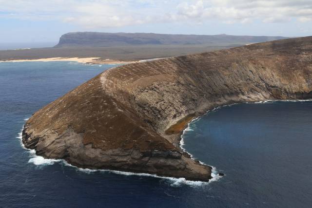 Preliminary results ‘inconclusive’ for Lehua Island fish kill ...