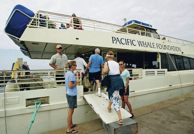 Maui humpback whale sightings down for a third straight year | Honolulu