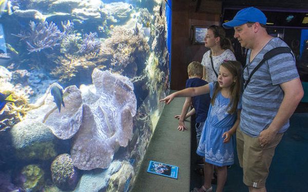 Waikiki Aquarium gift shop seeks volunteers