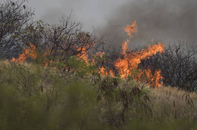 Police seek witnesses to recent Leeward Oahu brush fires | Honolulu ...