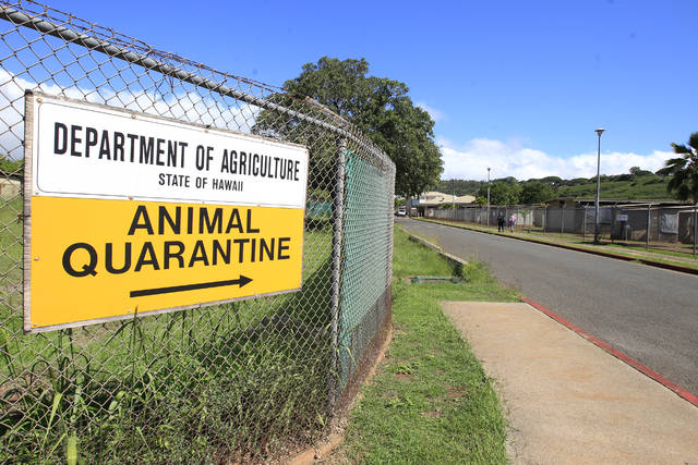 what is the dog quarantine for hawaii