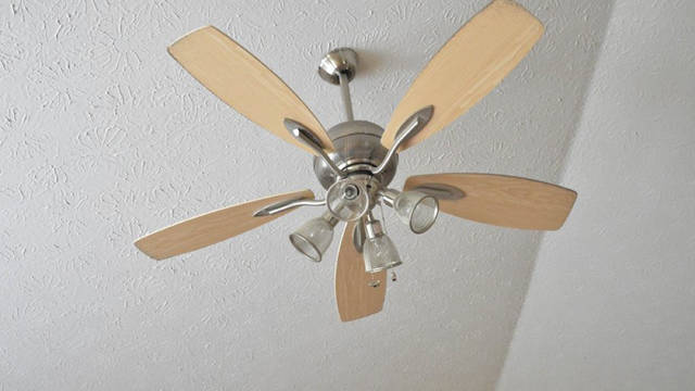 Keep Fans Clean To Minimize Allergy Risks Honolulu Star Advertiser