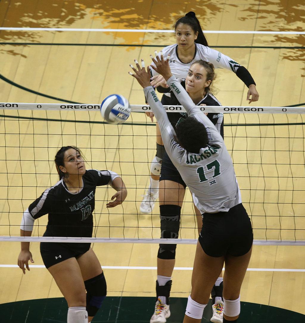 UH Volleyball: Hawaii Wahine fall to Baylor in NCAA tournament