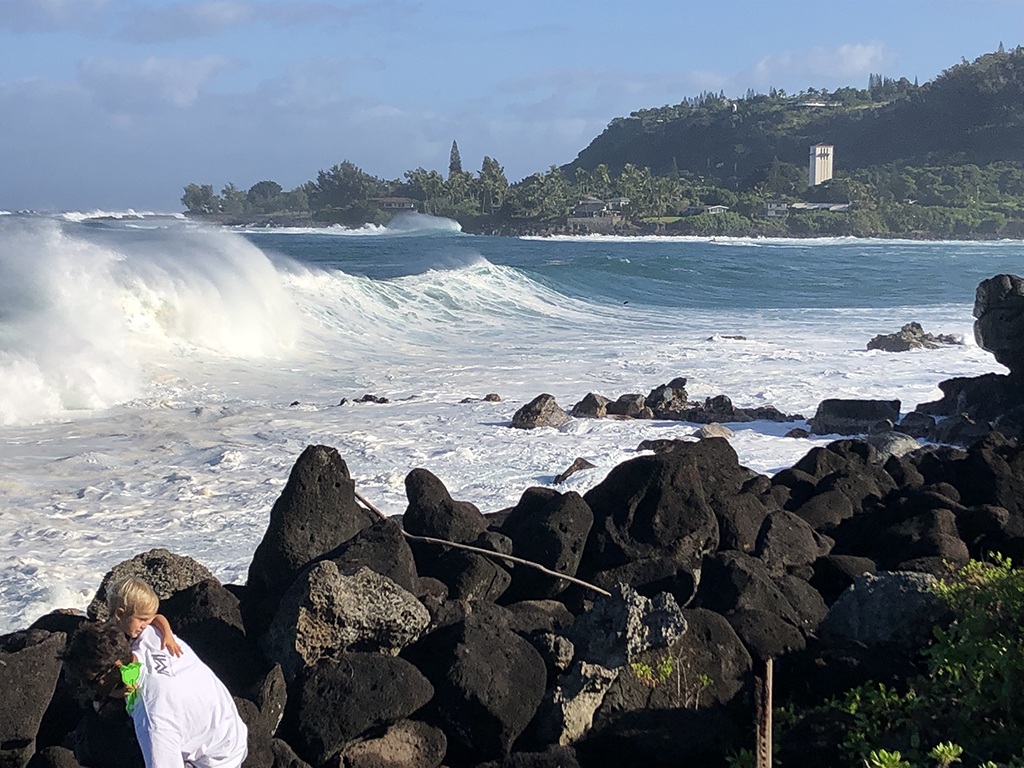 Big waves at Waimea Bay attract surfers and onlookers Honolulu Star