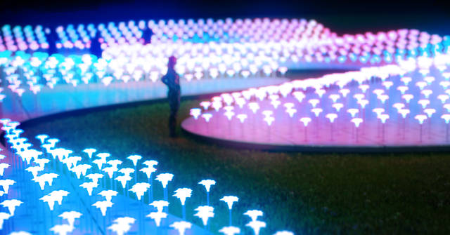 led flowers for garden