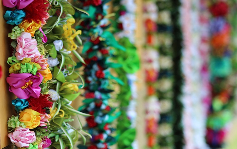 2019 Lei Day Contest Winners Honolulu Star Advertiser