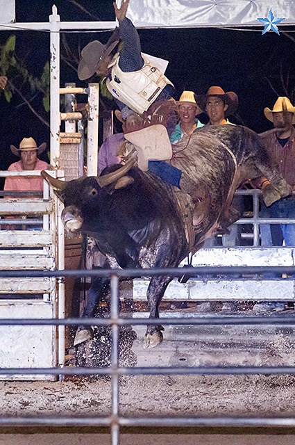 Dita Holifield's All American Rodeo 2019 