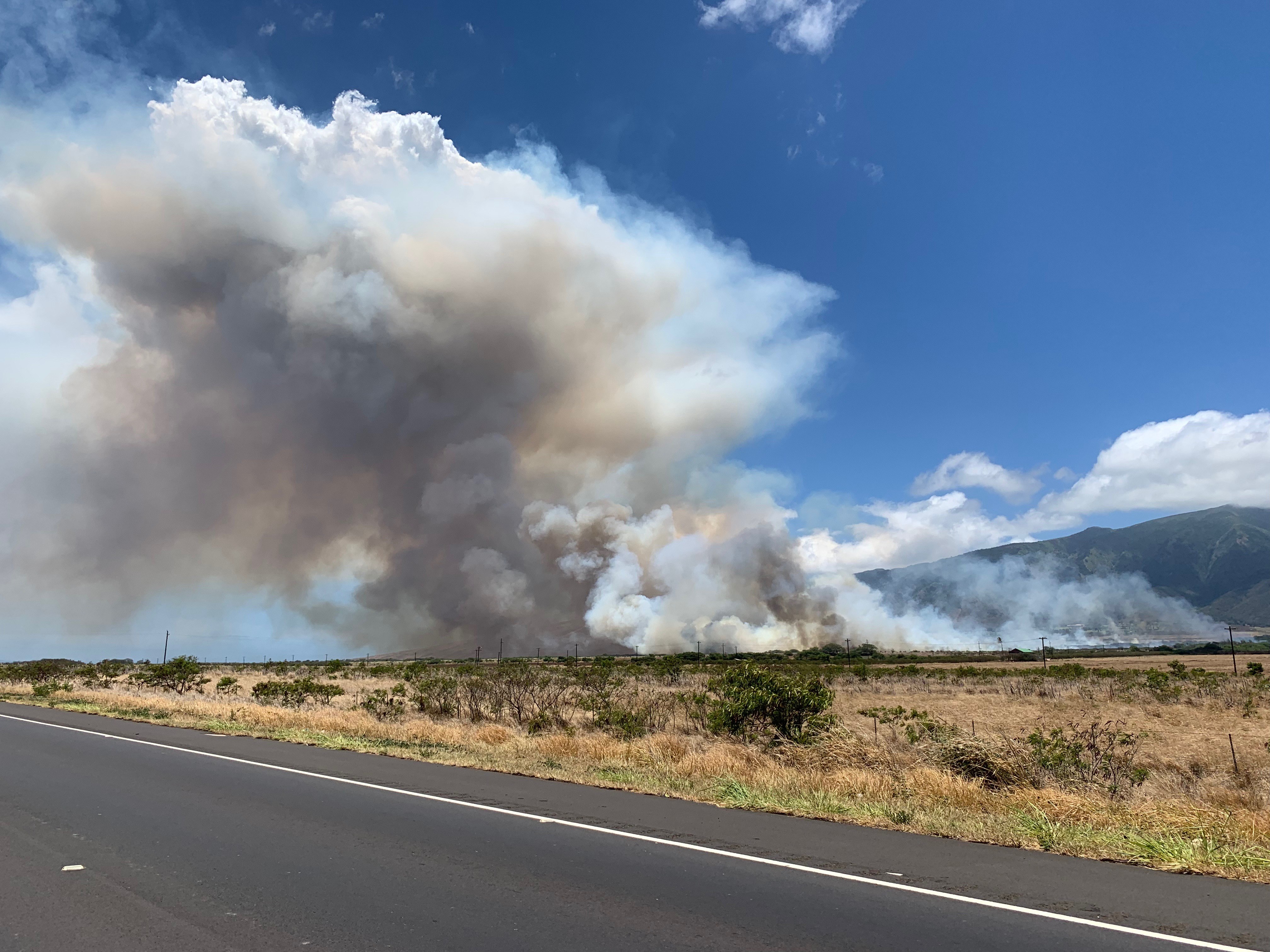 Massive brush fire spreads across Central Maui Honolulu StarAdvertiser