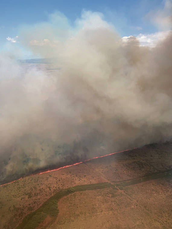 Maui fire causes thousands to evacuate Honolulu StarAdvertiser