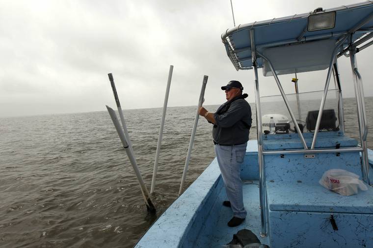 ASSOCIATED PRESS / 2011
                                Dave Cvitanovich, an oysterman who has worked the waters of Louisiana his whole life, works on his boat at one of his oyster beds in Bay Jimmy in Plaquemine’s Parish, La. His oysters were damaged by the fresh water diversion program by the state of Louisiana. It will be months before state officials know whether losses from floods and spillway openings qualify Louisiana as a fisheries disaster. Department of Wildlife and Fisheries officials say floods began around November 2018, and a full 12 months’ data is needed to compare to averages for the previous 5 years. The governors of Louisiana, Mississippi and Alabama asked months ago for US Commerce Secretary Wilbur Ross to declare a fisheries disaster, making federal grants available to affected people.