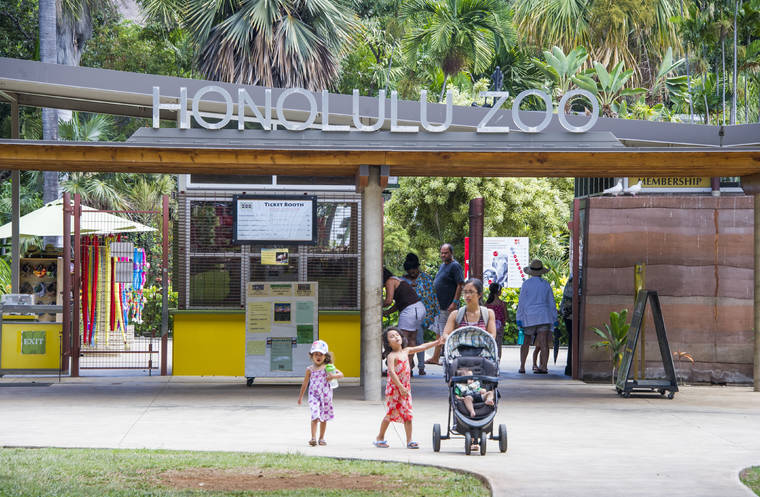 honolulu-zoo-parking-lot-repair-schedule-extended-honolulu-star