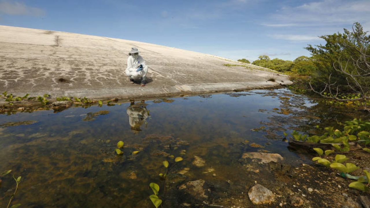 https://www.staradvertiser.com/wp-content/uploads/2019/11/web1_WORLD-NEWS-MARSHALLISLANDS-RADIATION-2-LA-1280x720.jpg