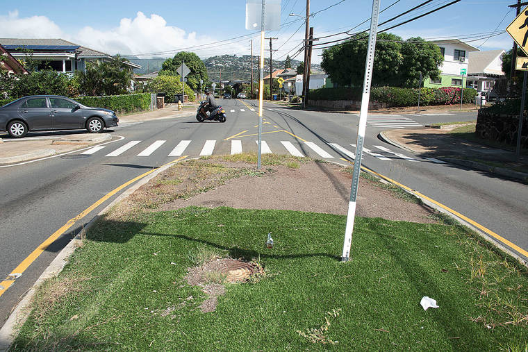 City installing artificial turf on median strips Honolulu StarAdvertiser