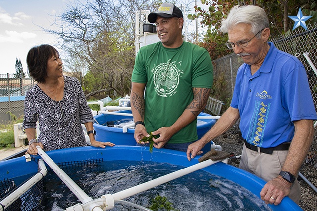 Volunteers sought to plant limu Saturday in Waimanalo | Honolulu Star ...