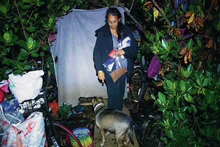 Nearly 7 000 Became Homeless In 19 On Oahu Honolulu Star Advertiser