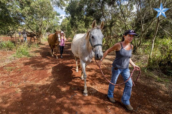 Horse camp in Waimanalo provides summer entertainment option for kids ...