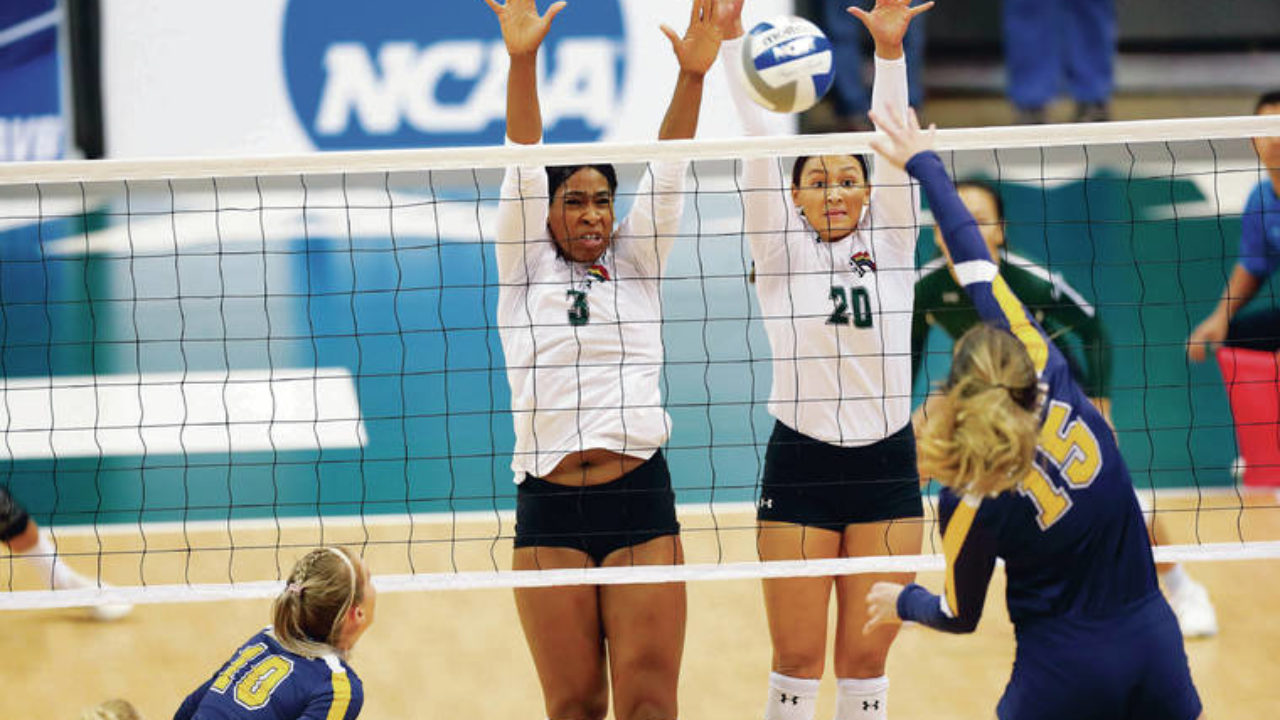 University Of Hawaii Womens Volleyball Ncaa Tournament University Poin