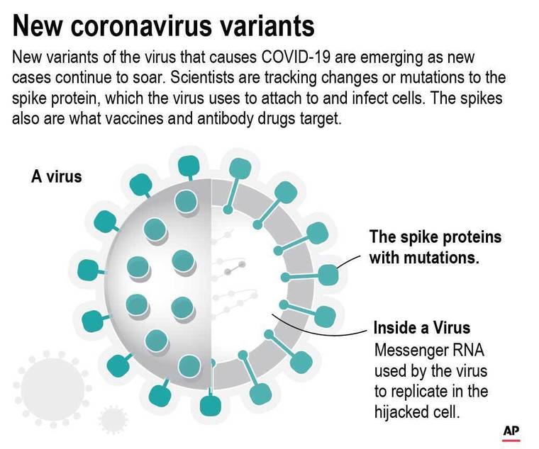 ASSOCIATED PRESS
                                Diagram of the COVID-19 virus