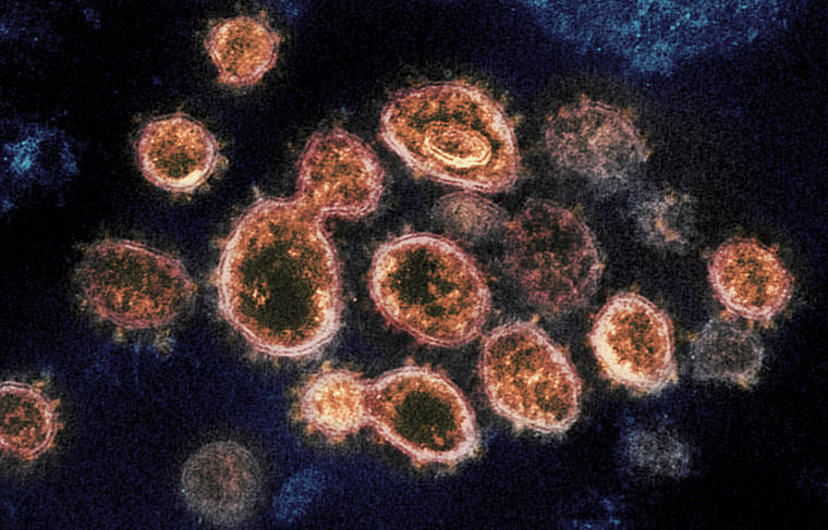 Fully vaccinated Oahu healthcare worker tests positive for COVID-19