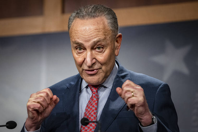 SAMUEL CORUM/POOL VIA ASSOCIATED PRESS
                                Senate Majority Leader Chuck Schumer, D-N.Y., spoke during a news conference at the Capitol in Washington, Tuesday.