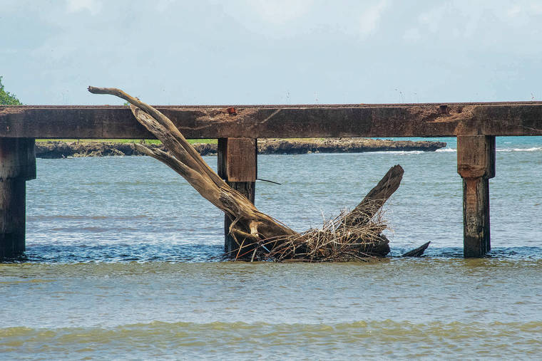 Waialua bridge construction still ongoing Honolulu Star Advertiser