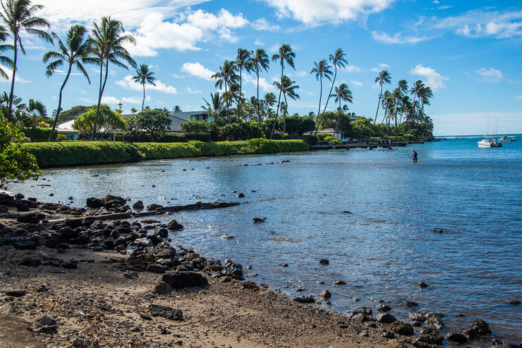 Man cited for illegal laynet fishing at night off Wailupe Beach Park ...