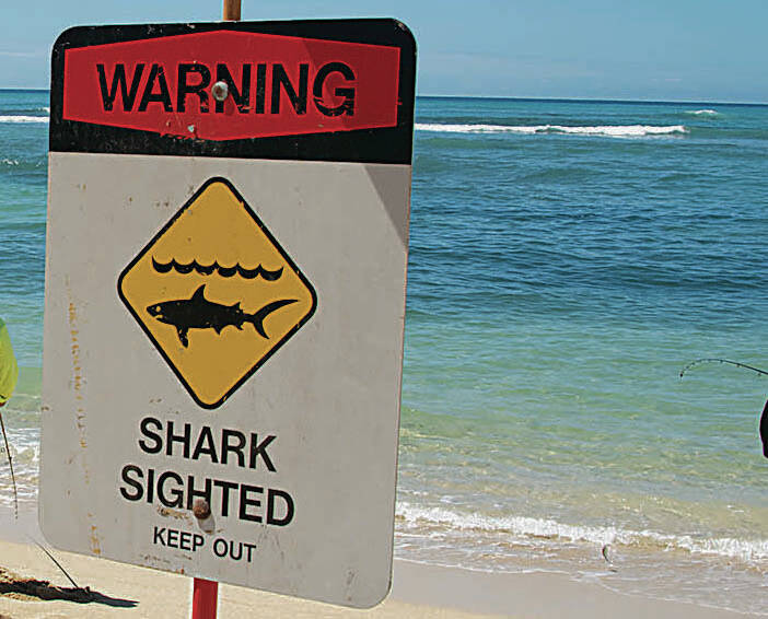 Kauai’s Kekaha Beach closed after shark spotted chasing diver to shore ...