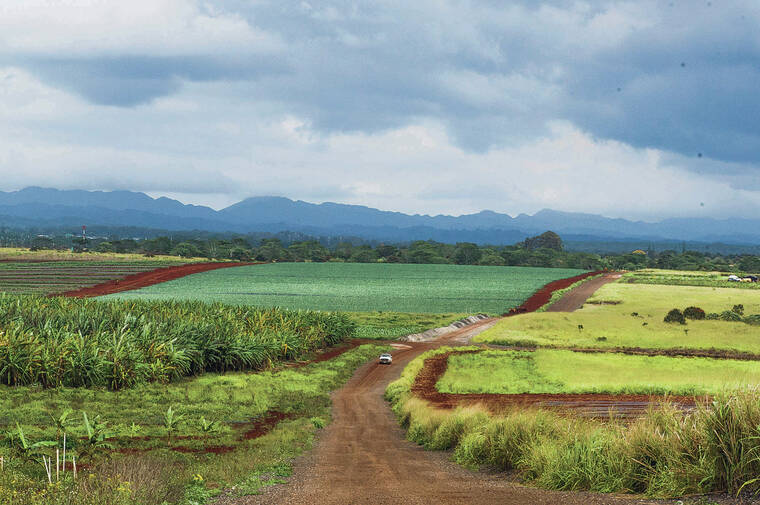 Stakeholders hope for continued support of agriculture in Hawaii