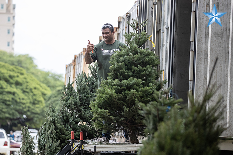 Hawaii Christmas tree demand remains high Honolulu StarAdvertiser