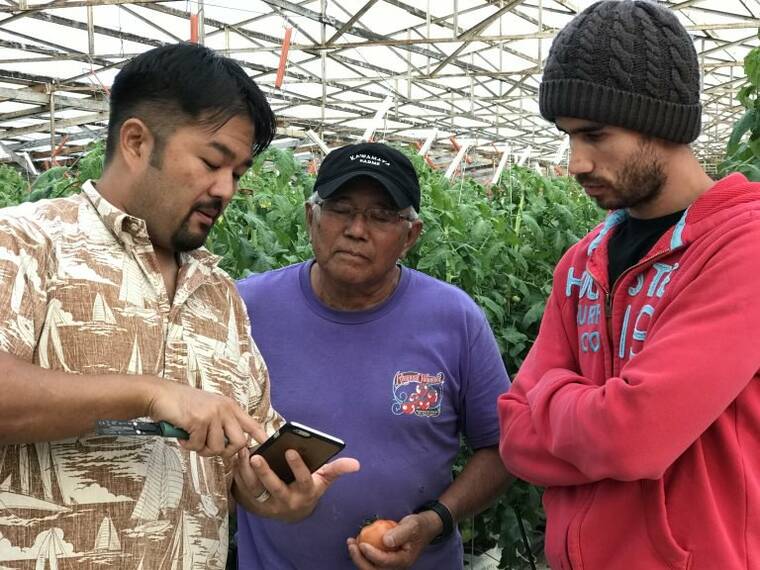 Hawaii agriculture tech firm receives federal grant Honolulu Star