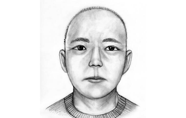 Police release sketch of suspect in Kaneohe kidnapping attempt ...