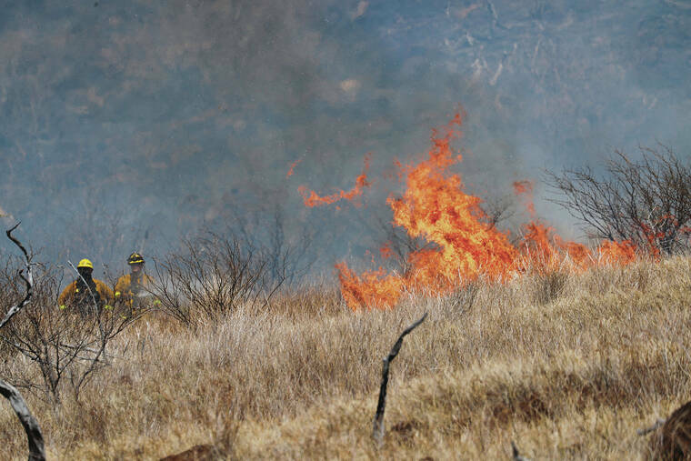 2 Oahu Brush Fires Contained After Burning 250 Acres Honolulu Star Advertiser 2758