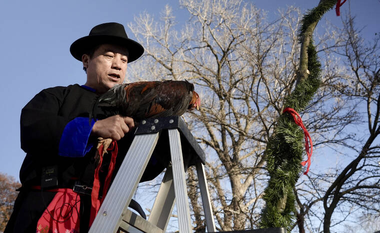 ASSOCIATED PRESS / NOV. 18
                                Nhia Neng Vang holds a rooster that will be used in a backyard sweeping ritual in St. Paul, Minn. on Saturday, Nov. 18. The ritual, in which participants walk together in circles, first to the west and then to the east, represents leaving old negative spirits behind and embracing the new year.