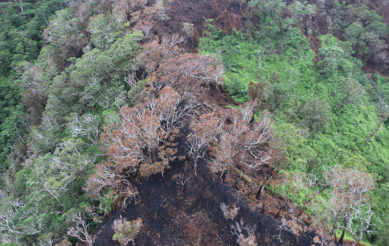 Mililani Mauka wildfire footprint remains unchanged, 90% contained ...